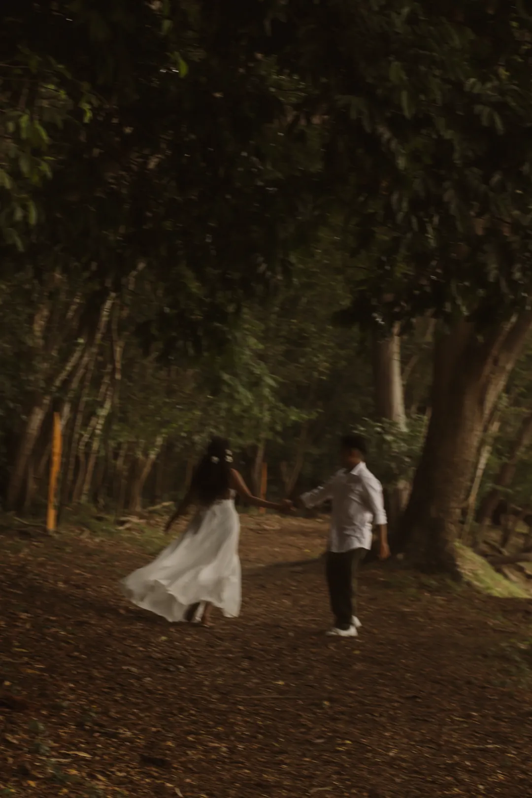 Redin y Amalia, recuerdo 14